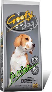 Goofy junior dog 30/11