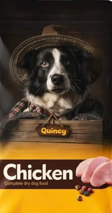 QUINCHY HRANA ZA ODRASLE PSE PILETINA 10KG